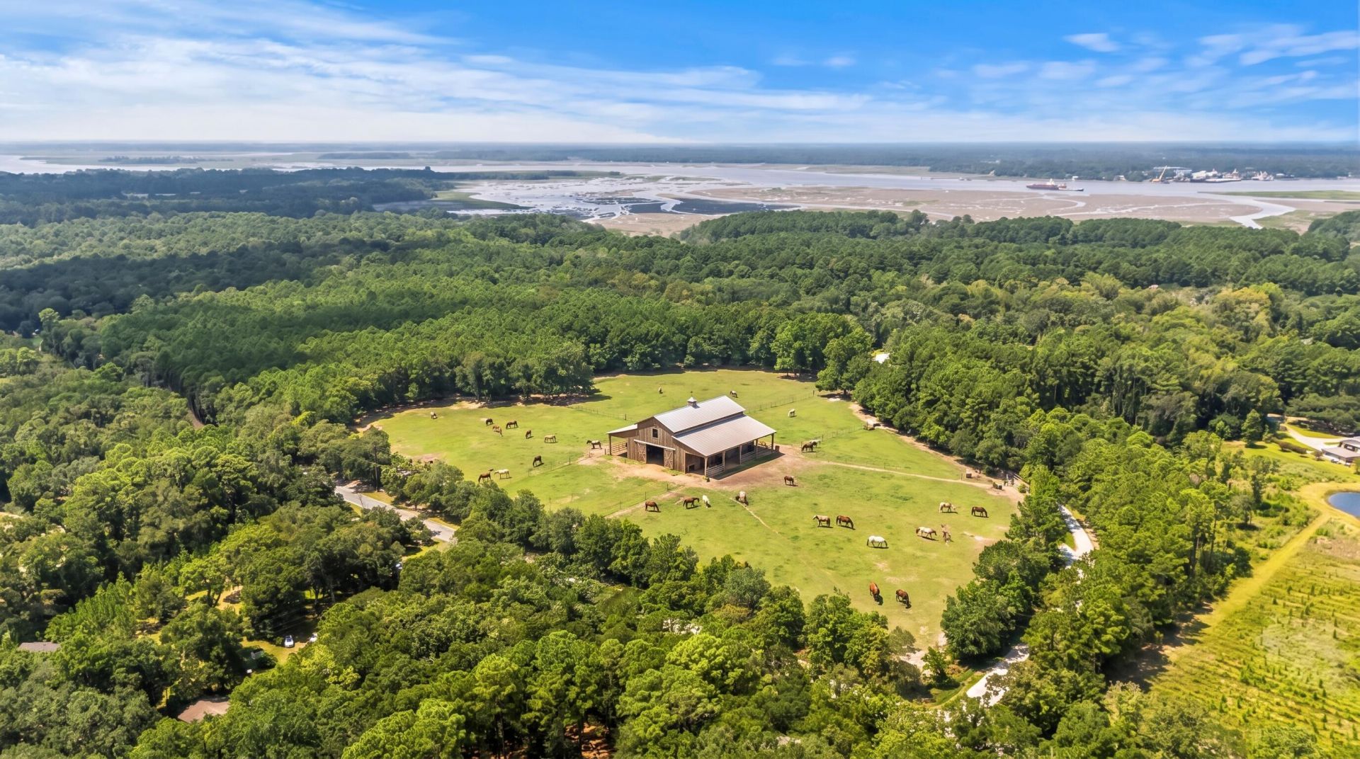 1451 Bears Bluff Road Photo 27