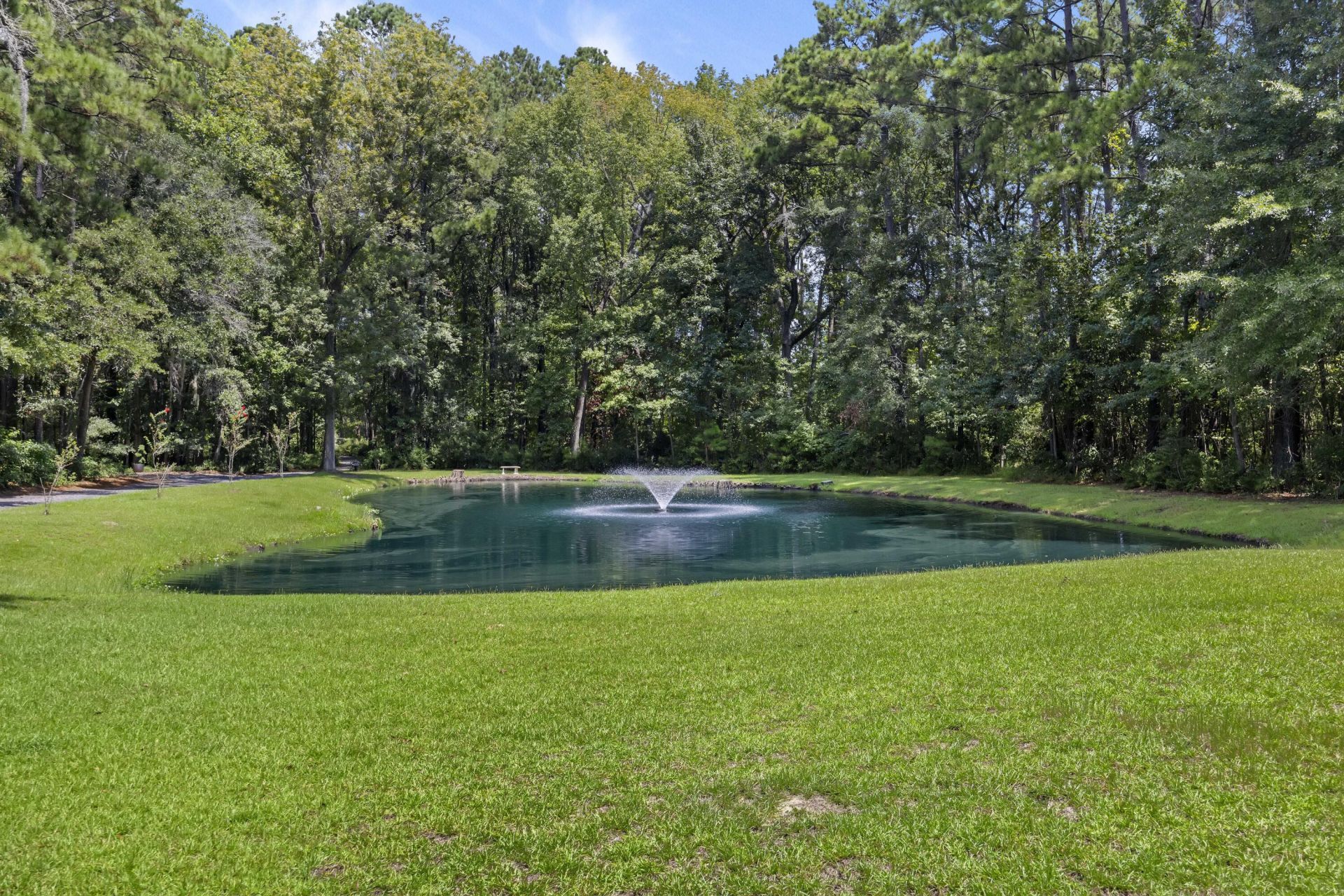 1451 Bears Bluff Road Photo 5