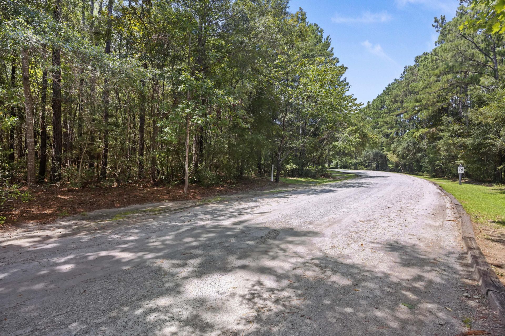 1451 Bears Bluff Road Photo 7