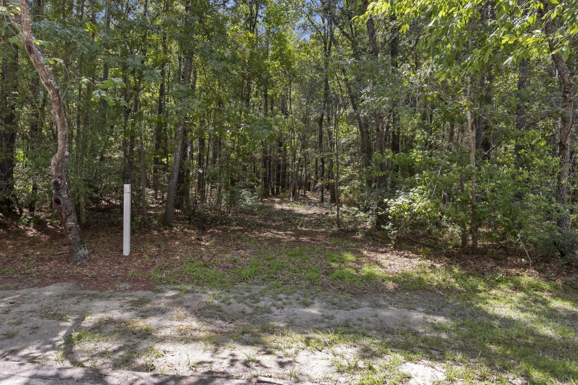 1451 Bears Bluff Road Photo 8
