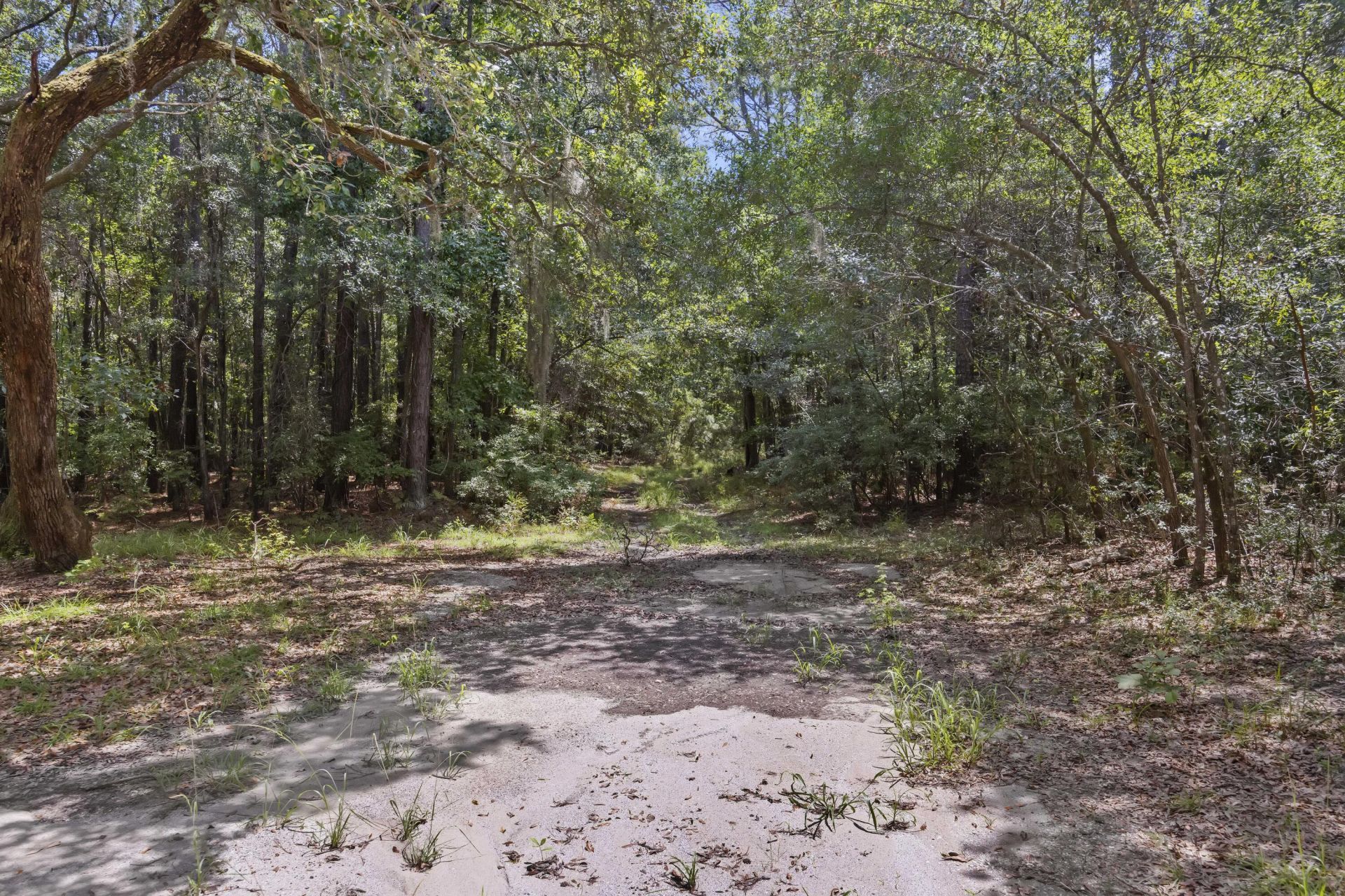 1451 Bears Bluff Road Photo 9