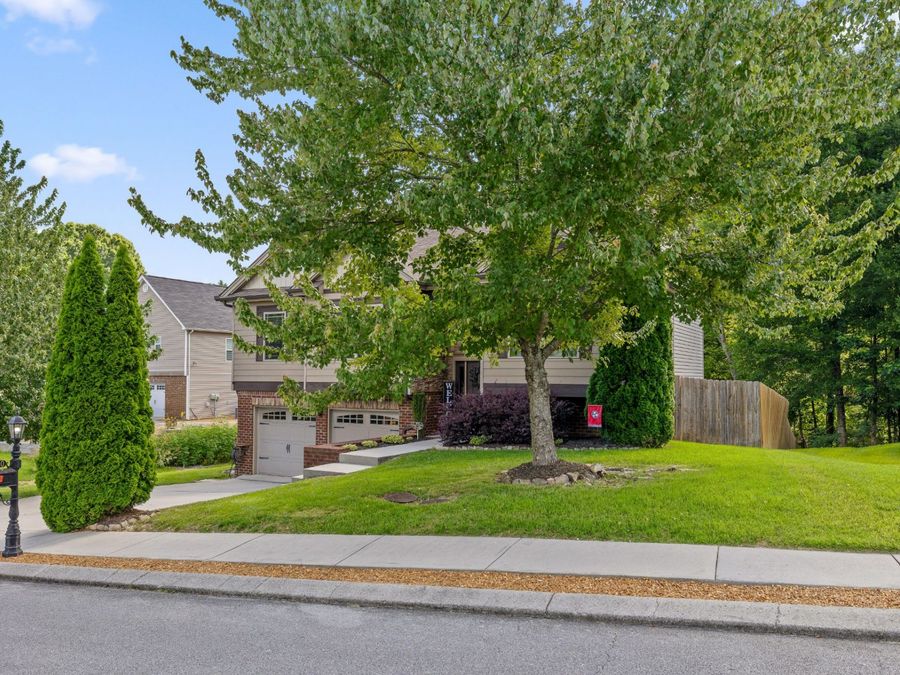Property Image 45