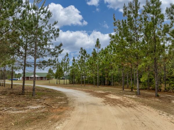 2474 Rushing Boone Road, Reidsville, GA 30453