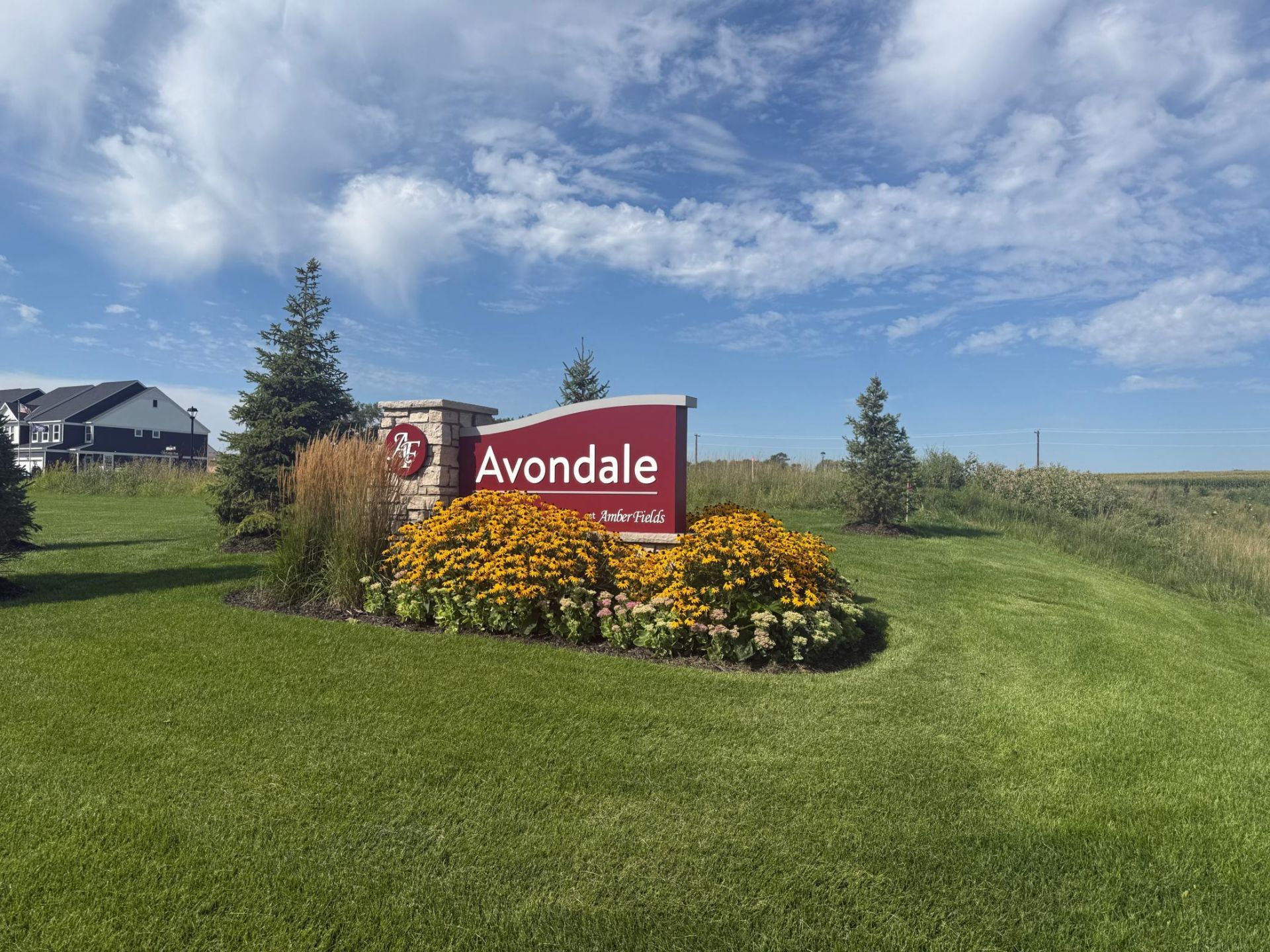15173 Amber Fields Boulevard, Rosemount, MN 55068 Main Photo