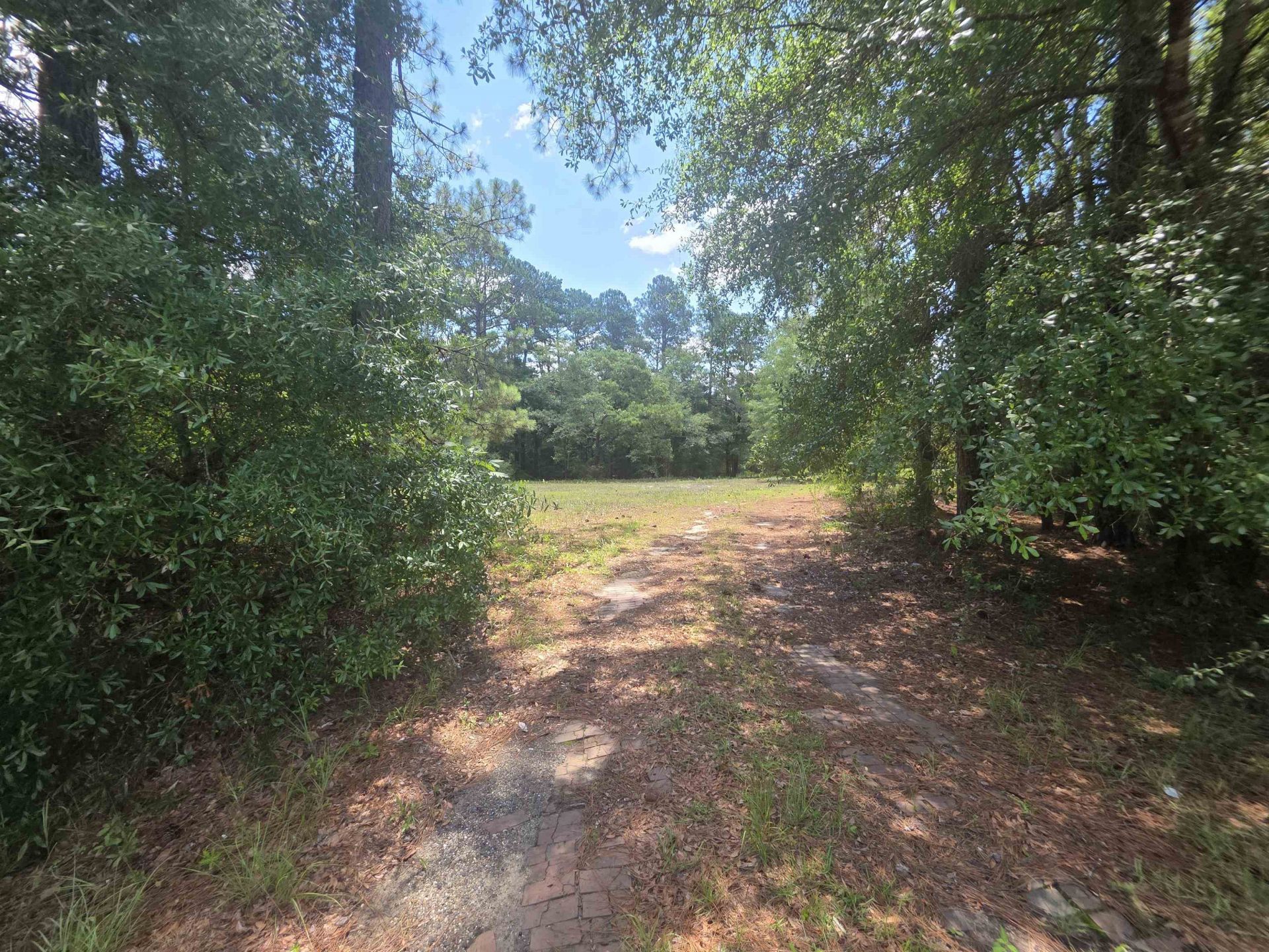 Tbd Highway 701 South, Conway, SC 29527 Main Photo