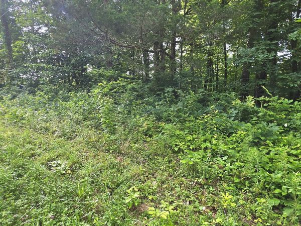 Lot 18 Pine Lane, Maynardville, TN 37807