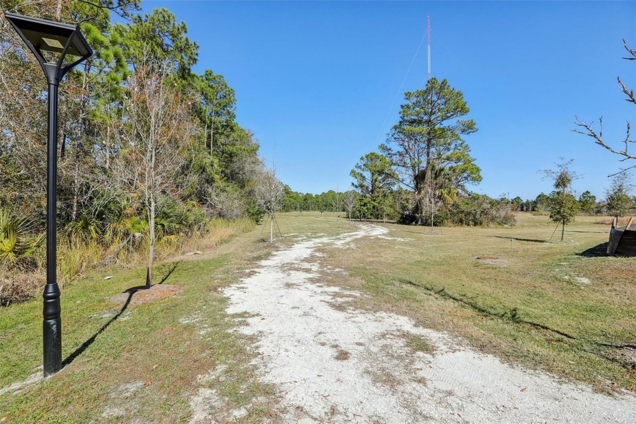 7536 Deer Valley Circle, Tampa, FL 33635 Photo