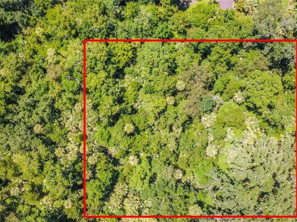 SHADY PALM COVE, OVIEDO, FL 32765