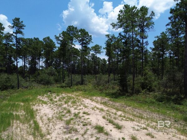 00 KINGS LANDING Road, Seminole, AL 36574