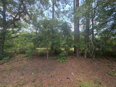 TBD Highway 701 South , Conway, SC 29527