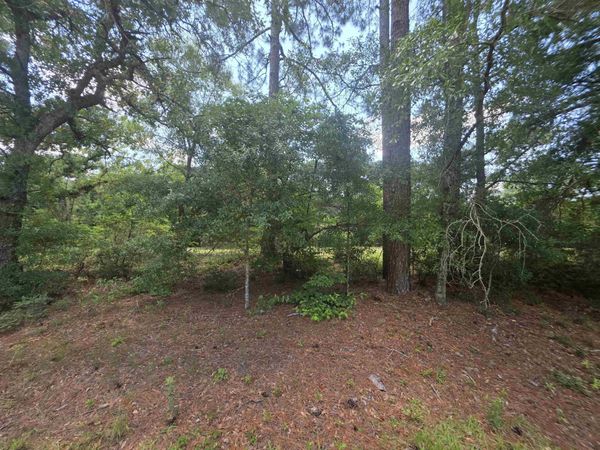 TBD Highway 701 South , Conway, SC 29527