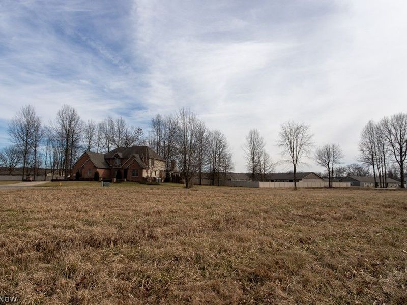 Black Duck Court, Cortland, OH 44410 Photo 6
