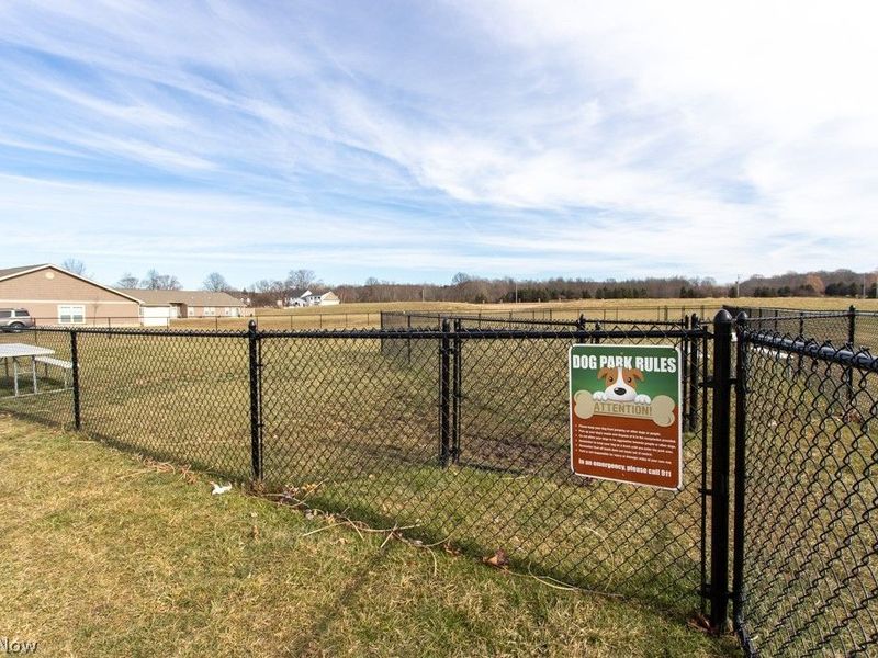 Black Duck Court, Cortland, OH 44410 Photo 8
