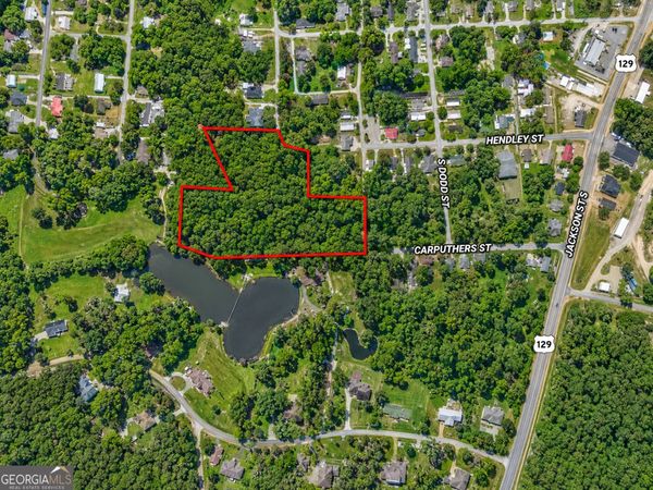 5 ACRES Grace Street, Hawkinsville, GA 31036