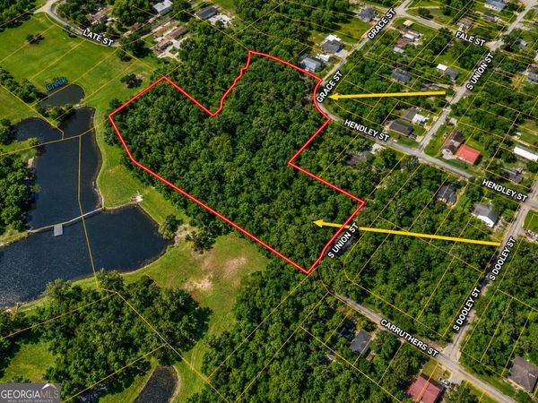 5 ACRES Grace Street, Hawkinsville, GA 31036