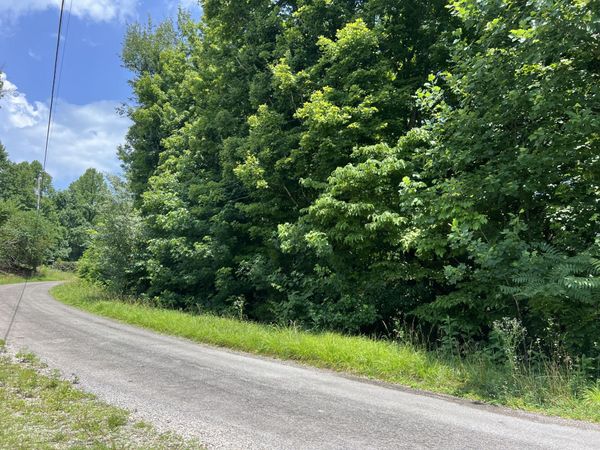 0 Lafever Ridge Rd, Unit 1 & 2, Silver Point, TN 38582