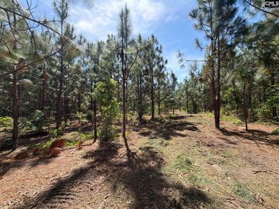 HRF 7 Holstein Road , Unit HRF 7, Wagener, SC 29164