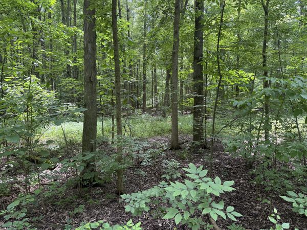 2264 D Drive S, East Leroy, MI 49051