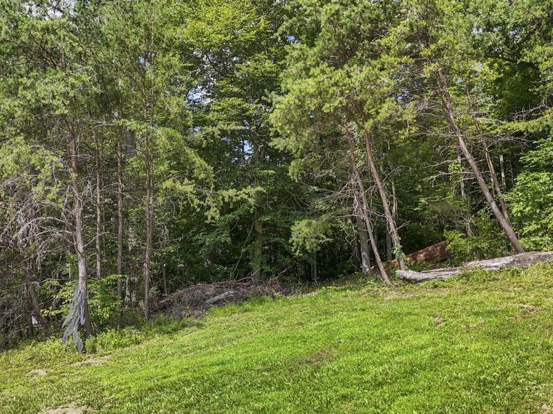 1071 Lake Katharine Road, Jackson, OH 45640 Photo 71