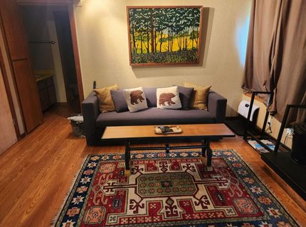 74 Bear Valley Rd #1, Unit 1, Bear Valley, CA 95223 Photo