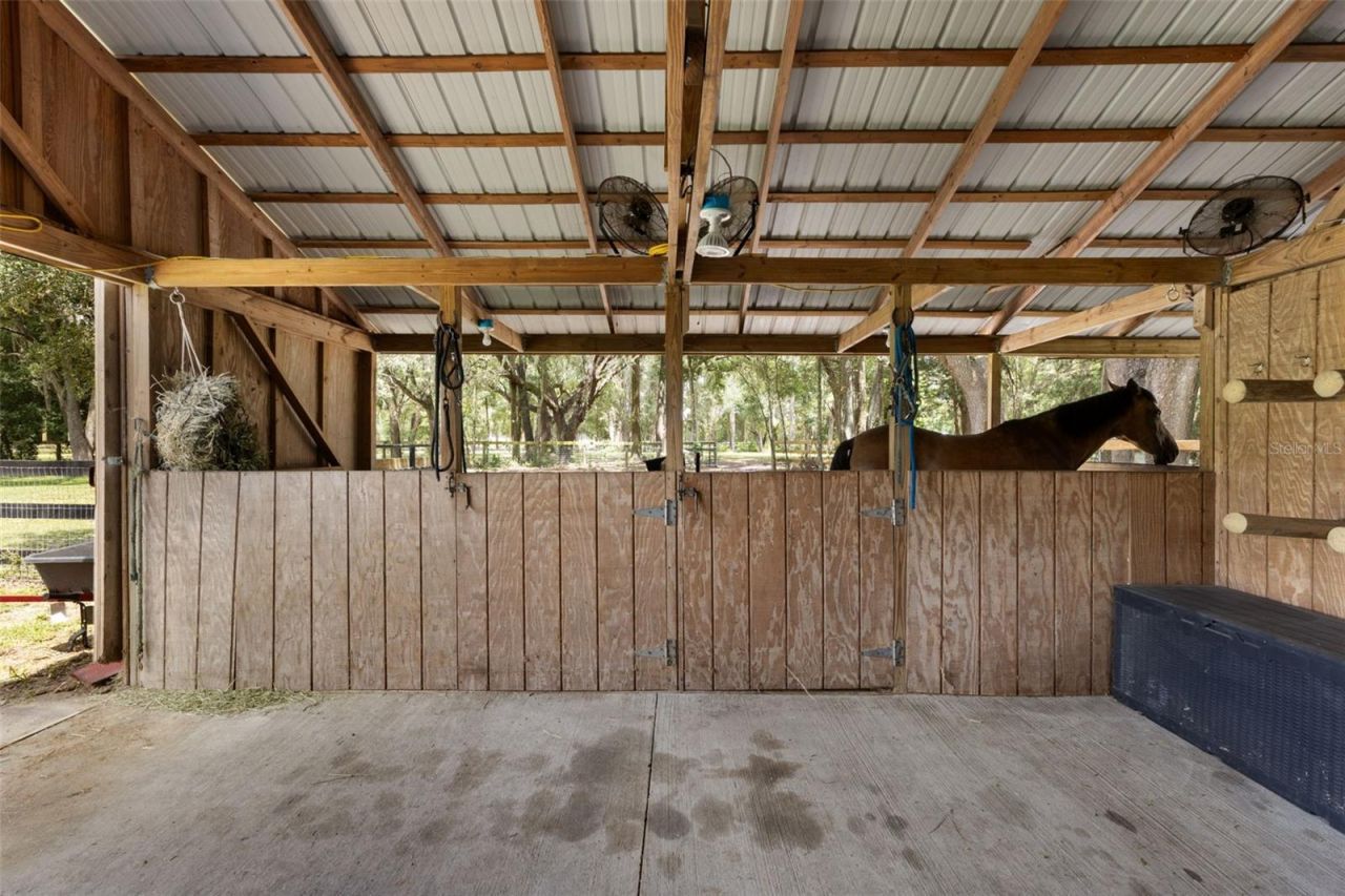 18950 NE 55th Street , Williston, FL 32696 Photo