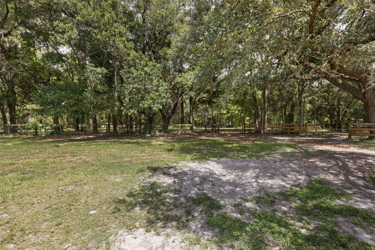 18950 NE 55th Street , Williston, FL 32696 Photo