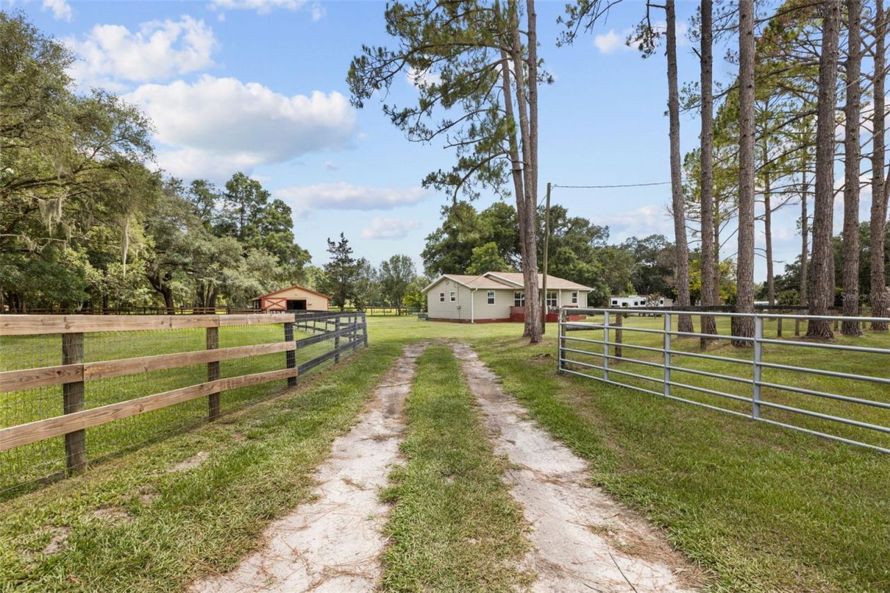 18950 NE 55th Street , Williston, FL 32696 Photo