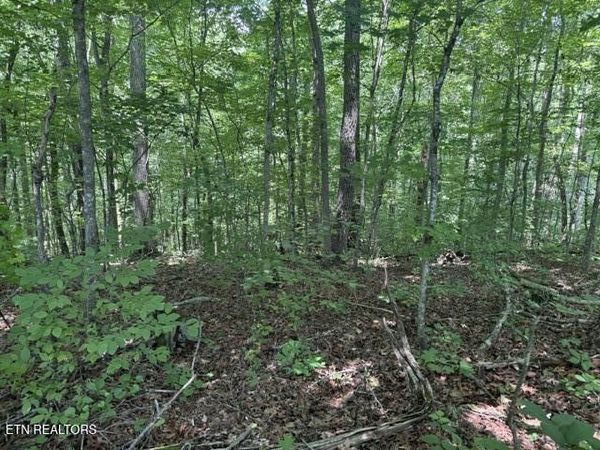 Lot 4 Hackworth Rd, Knoxville, TN 37931