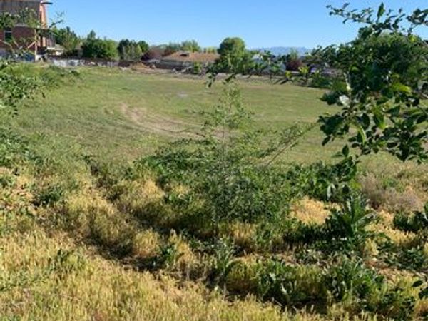 1598 W 13200 S, Riverton, UT 84065