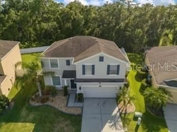 2623 HOLLY BLUFF COURT , PLANT CITY, FL 33566