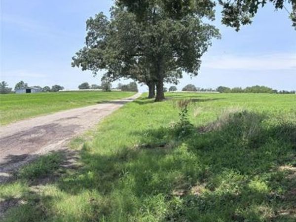 Lot 5 CR 3385 Fm 900 , Saltillo, TX 75478