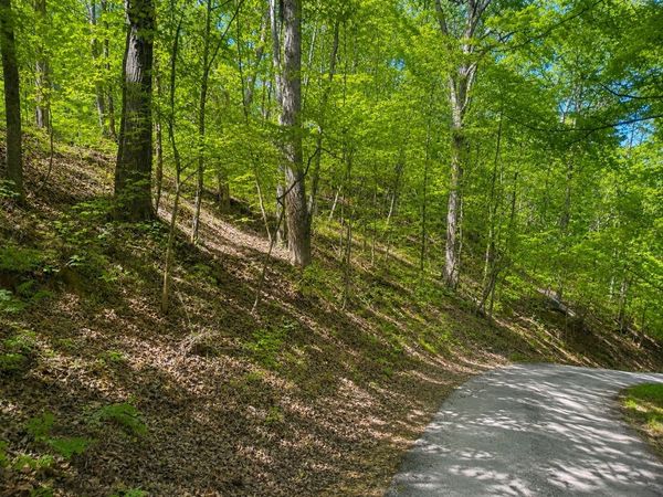 0 Lakeside Dr , Smithville, TN 37166