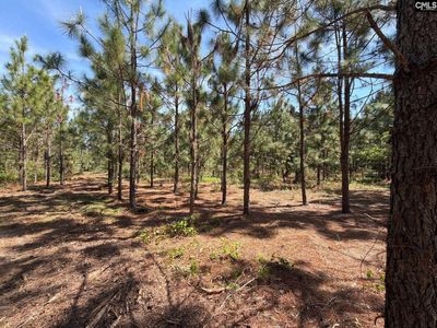HRF 8 Holstein Road , Unit HRF 8, Wagener, SC 29164