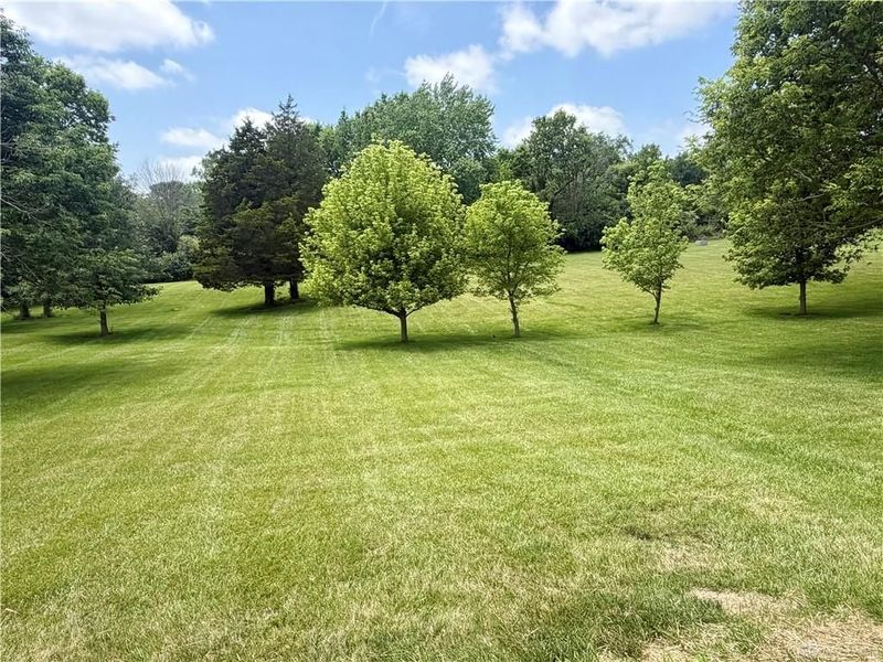 8761 N SR 503, Lewisburg, OH 45338 Photo 10