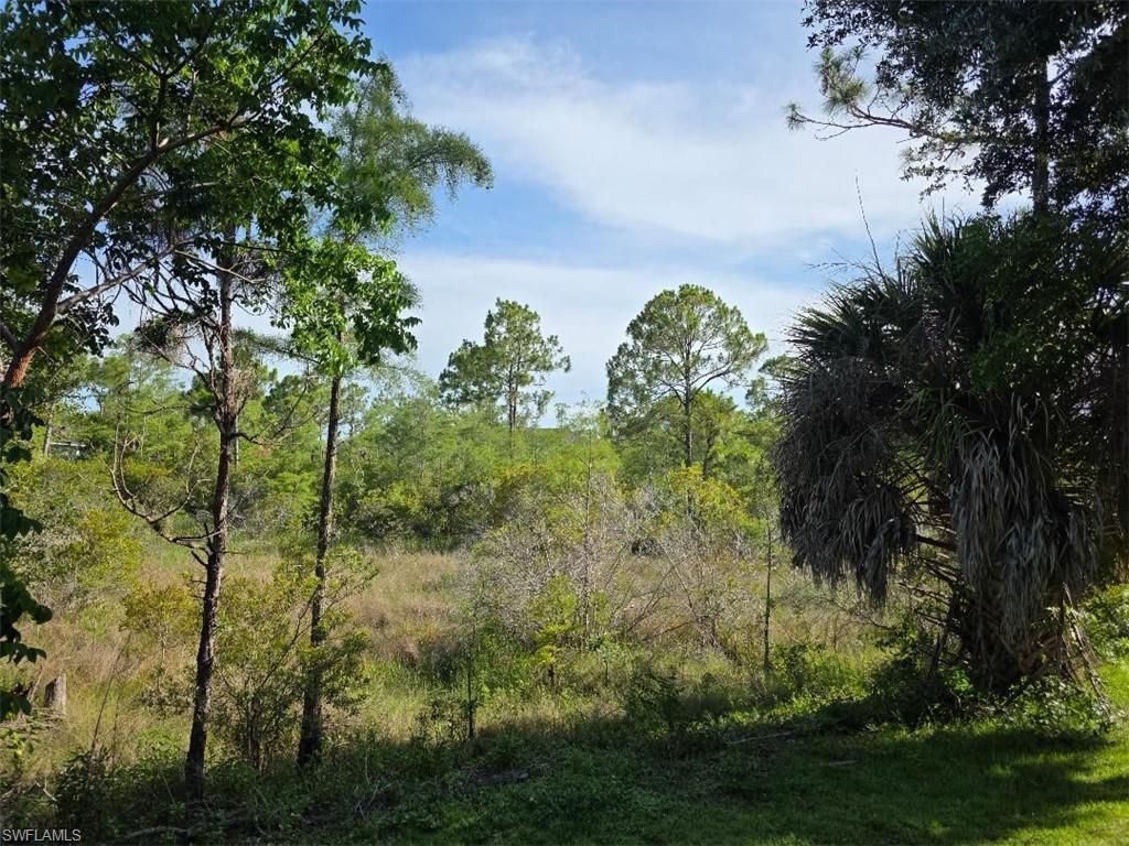 1784 Sanctuary Pointe Ct, Naples, FL 34110 Photo