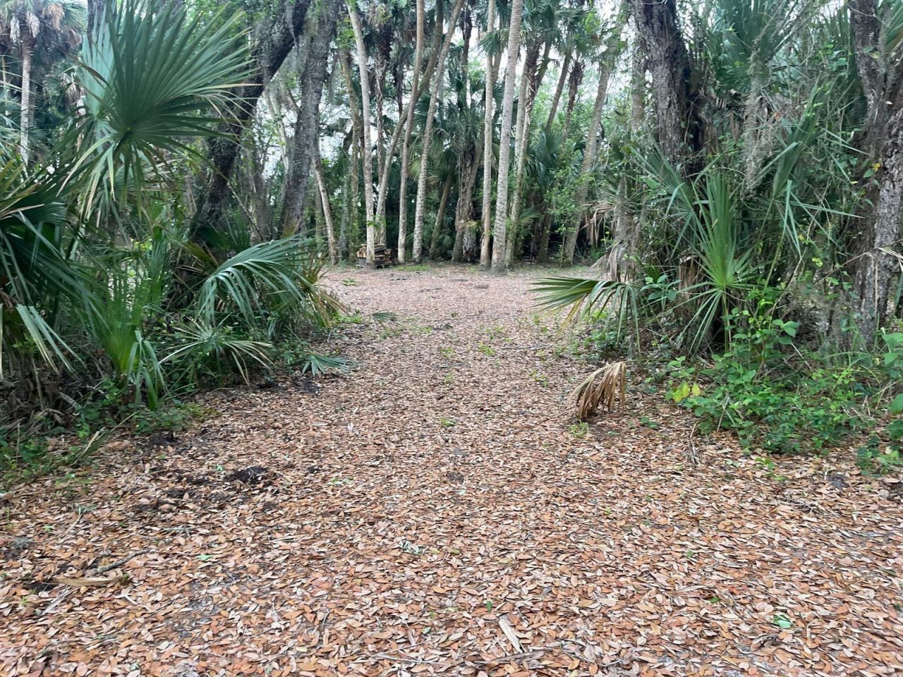 15148 NW 288th Street, Okeechobee, FL 34972 Photo
