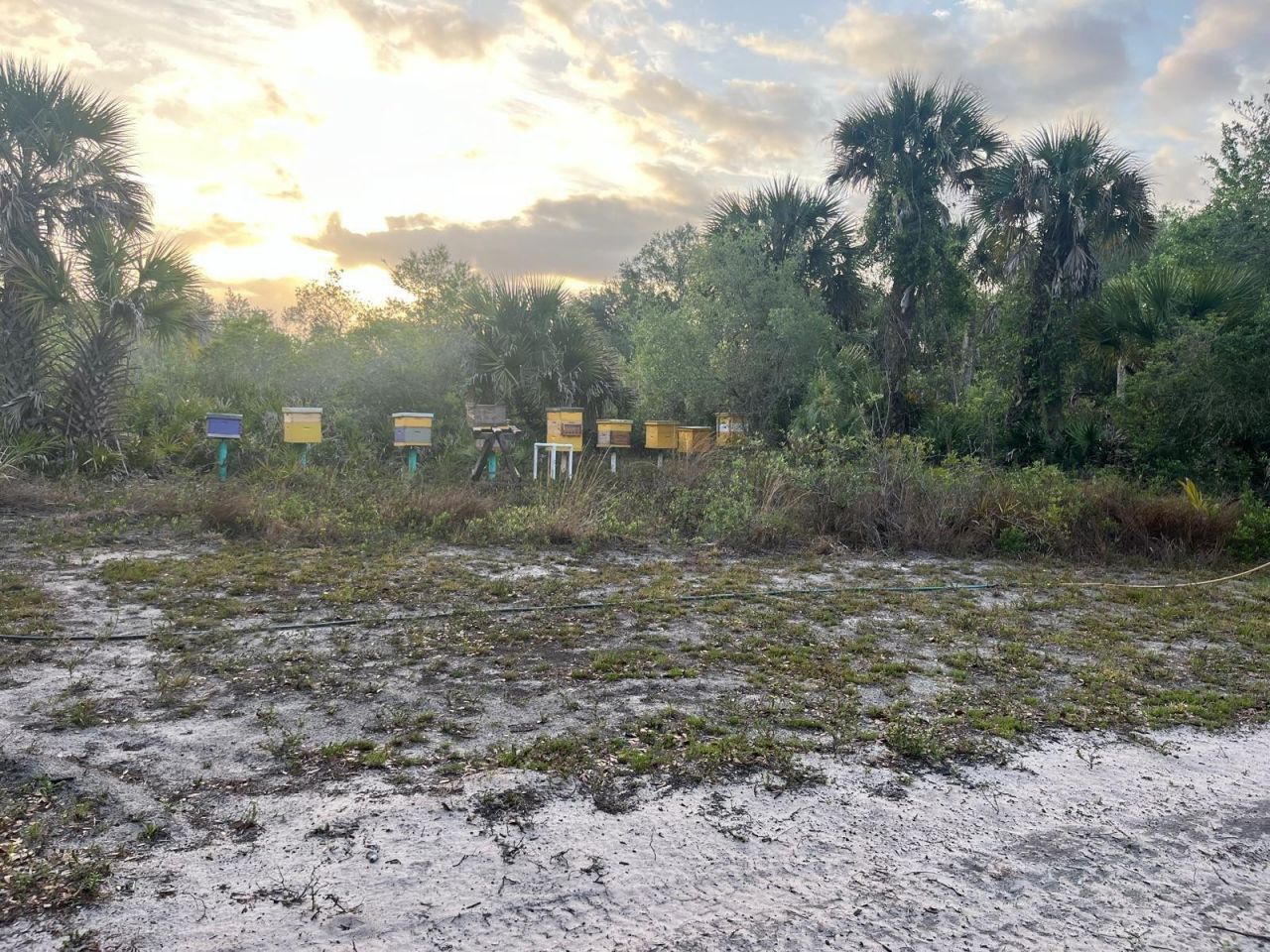 15148 NW 288th Street, Okeechobee, FL 34972 Photo