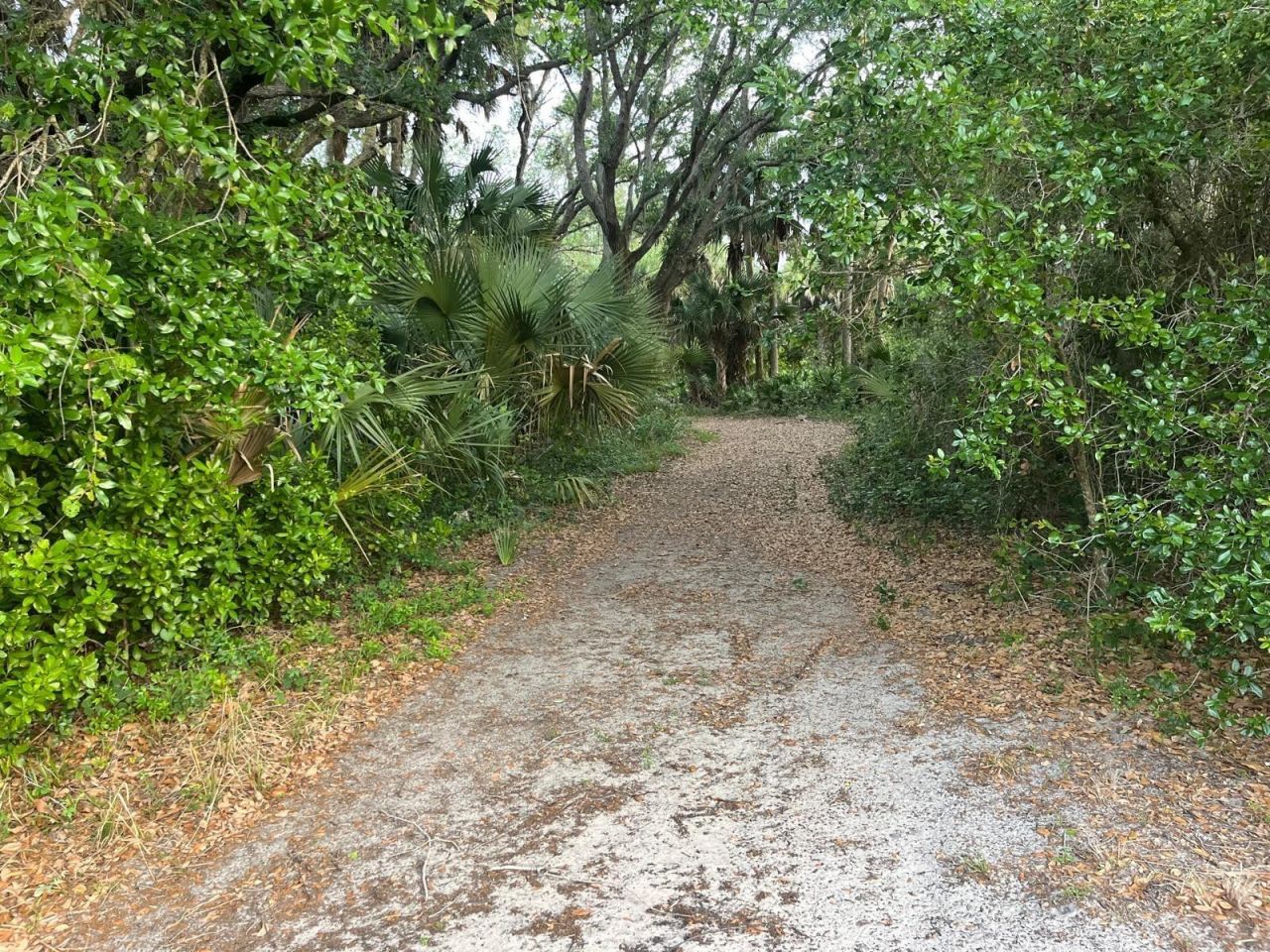 15148 NW 288th Street, Okeechobee, FL 34972 Photo