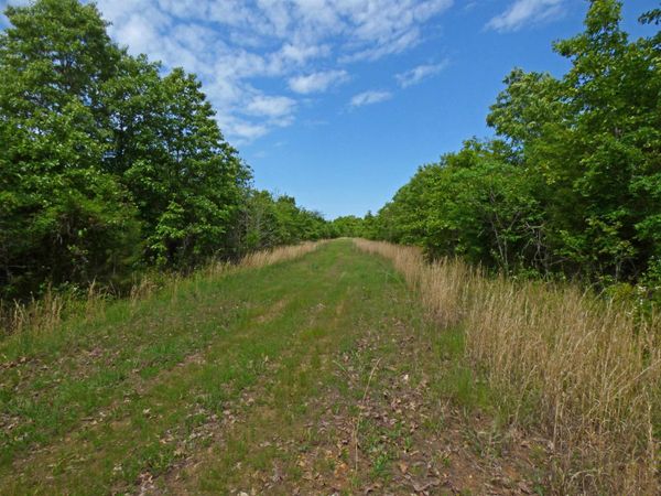 Herron Road , Ash Flat, AR 72513
