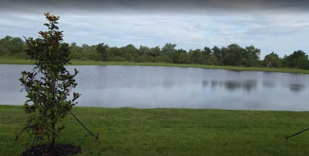 11905 71st Place E, Palmetto, FL 34221 Photo
