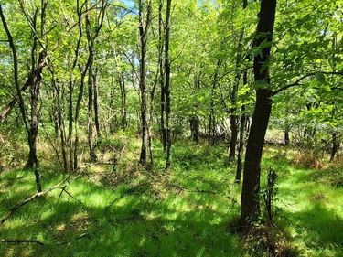 209 MINERAL STREET , MIDDLETOWN, VA 22645