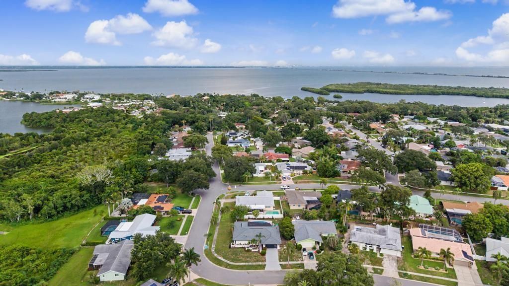 1301 Alameda Avenue, Clearwater, FL 33759 Photo