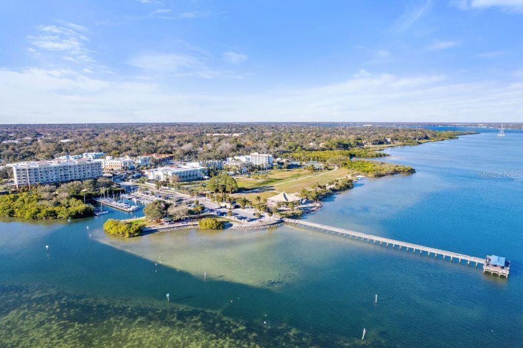 1301 Alameda Avenue, Clearwater, FL 33759 Photo