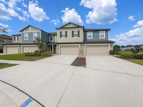 17696 NECTAR FLUME DRIVE, LAND O LAKES, FL 34638