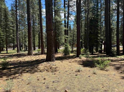 12510 Granite Drive, Truckee, CA 96161 Photo