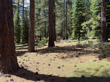 12510 Granite Drive, Truckee, CA 96161 Photo