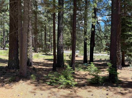 12510 Granite Drive, Truckee, CA 96161 Photo