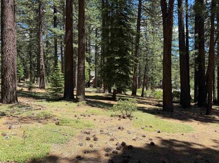 12510 Granite Drive, Truckee, CA 96161 Photo