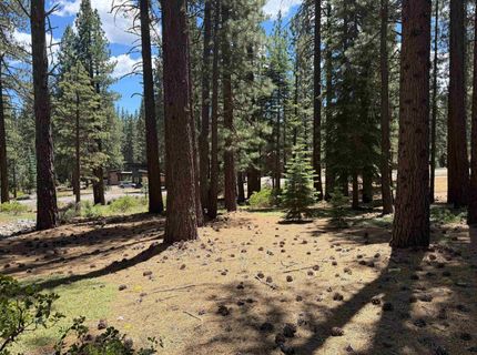 12510 Granite Drive, Truckee, CA 96161 Photo