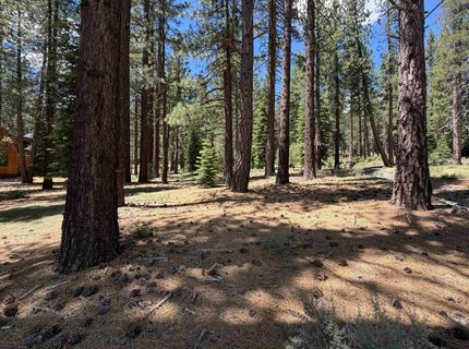 12510 Granite Drive, Truckee, CA 96161 Photo